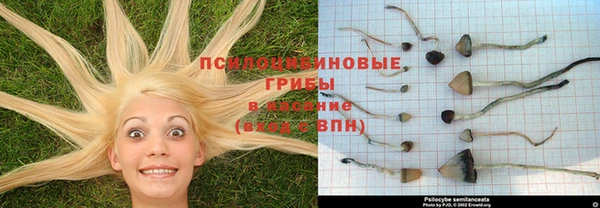 ешки Заволжск